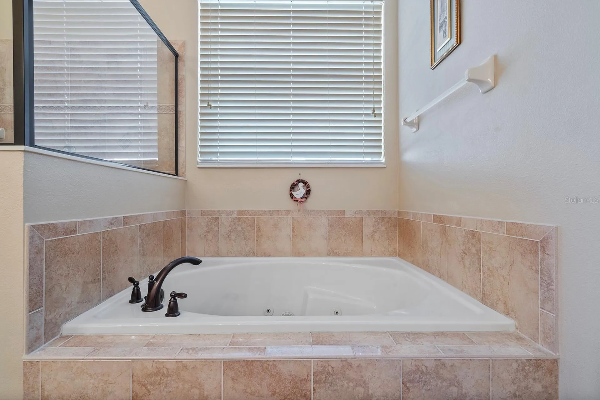 22019 Belgian Court Mount Dora FL 32757