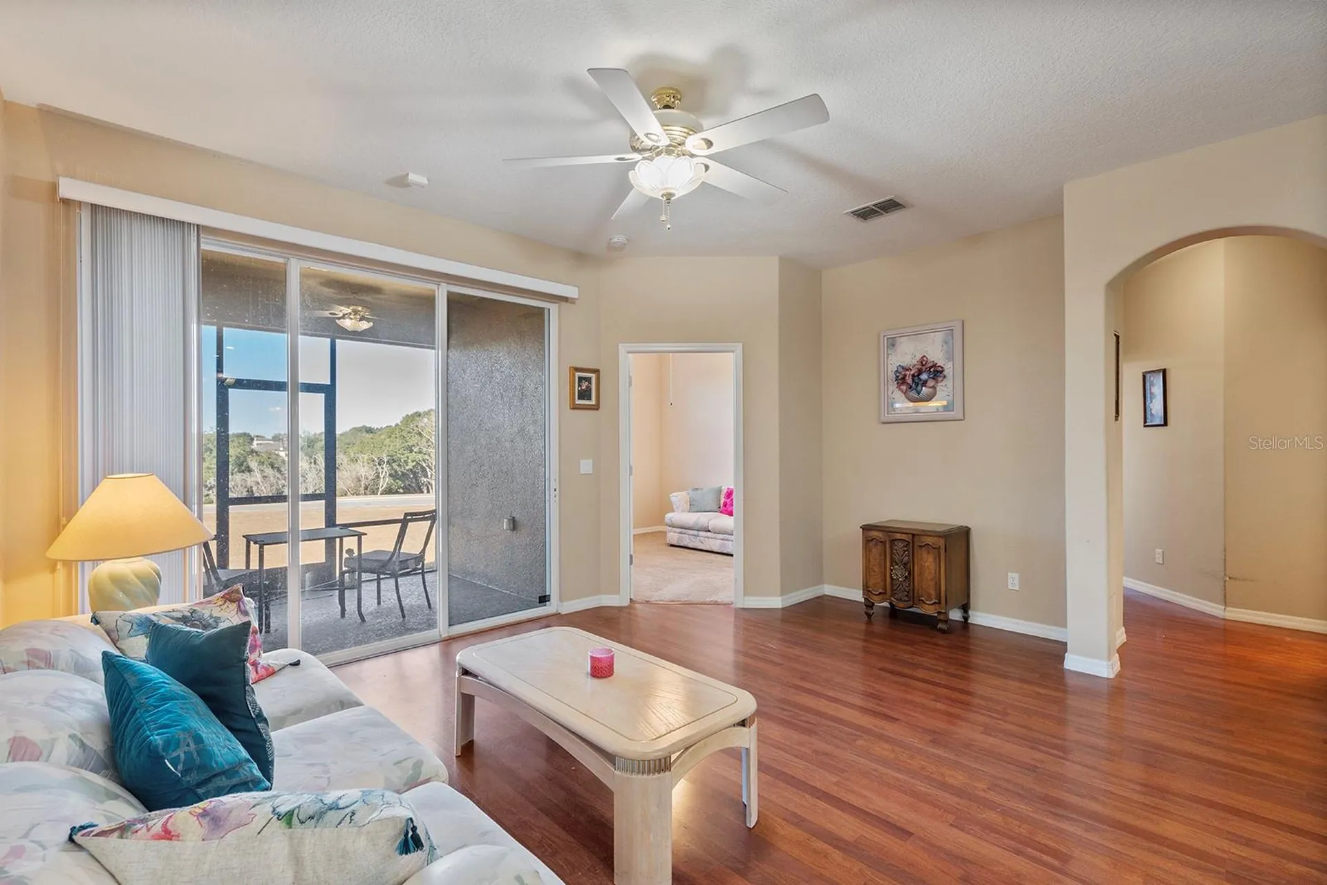 22019 Belgian Court Mount Dora FL 32757