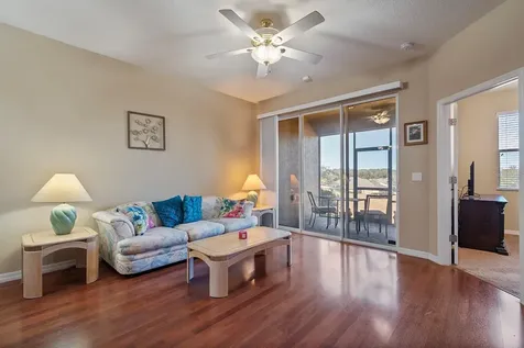 22019 Belgian Court Mount Dora FL 32757