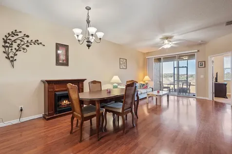 22019 Belgian Court Mount Dora FL 32757