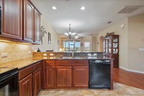 22019 Belgian Court Mount Dora FL 32757