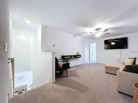 32046 Powderpuff Mimosa Drive San Antonio FL 33576