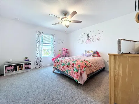 32046 Powderpuff Mimosa Drive San Antonio FL 33576