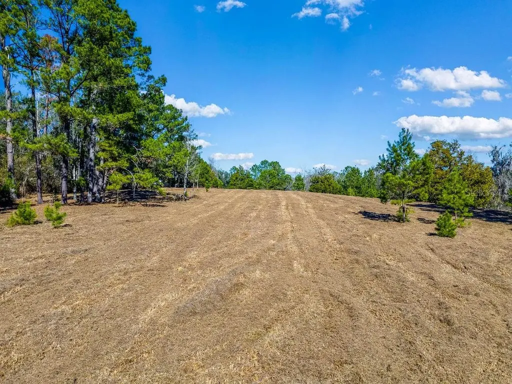 Tbd 99th Avenue Lake Butler FL 32054
