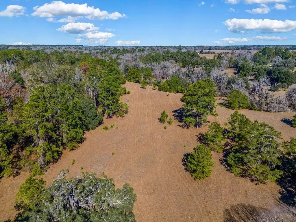 Tbd 99th Avenue Lake Butler FL 32054
