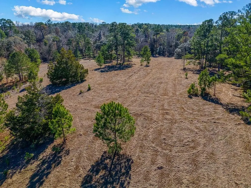 Tbd 99th Avenue Lake Butler FL 32054