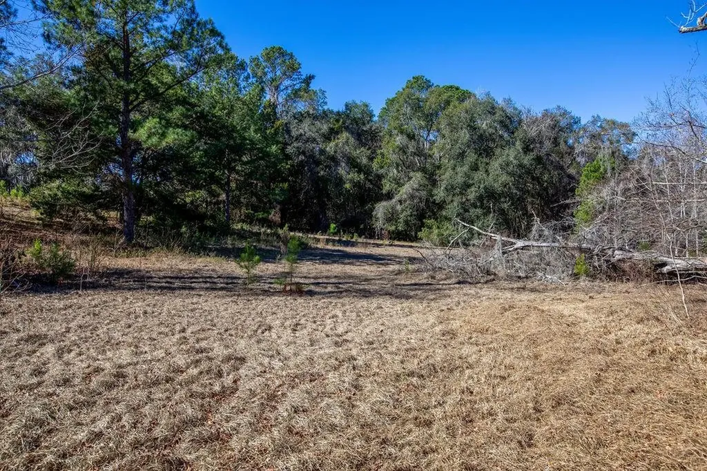 Tbd 99th Avenue Lake Butler FL 32054