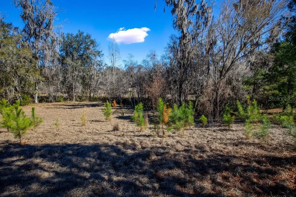 Tbd 99th Avenue Lake Butler FL 32054