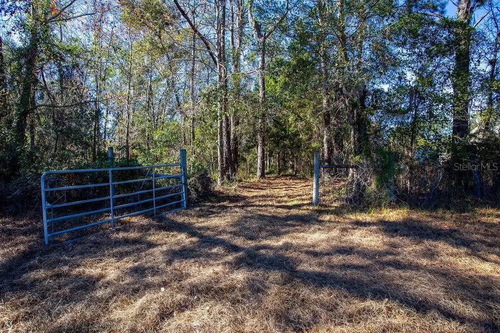 Tbd 99th Avenue Lake Butler FL 32054