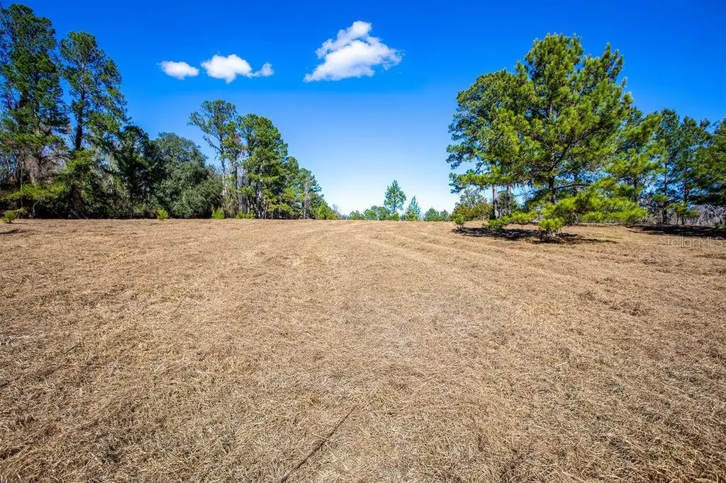 Tbd 99th Avenue Lake Butler FL 32054