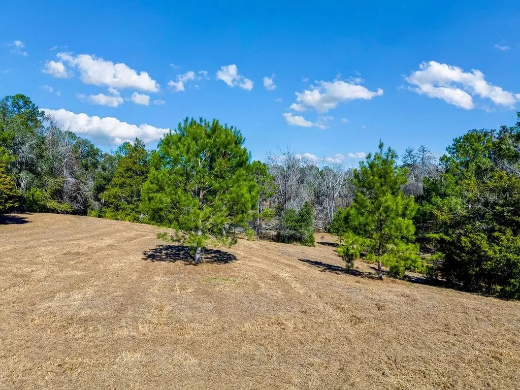 Tbd 99th Avenue Lake Butler FL 32054