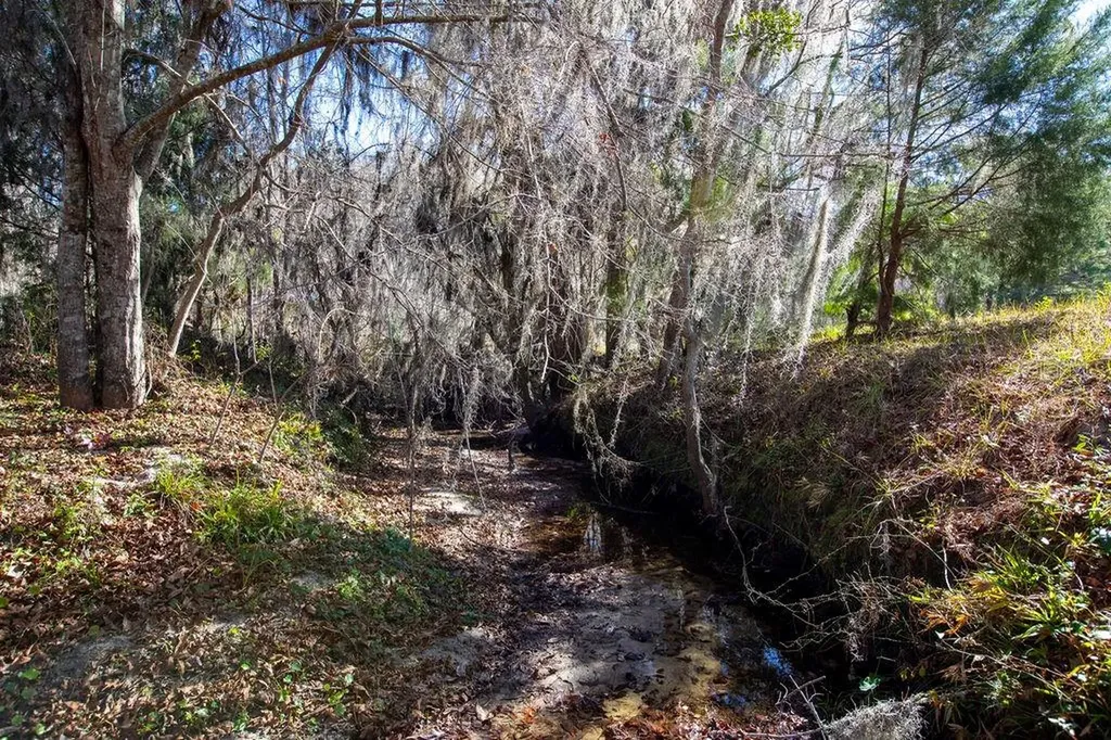 Tbd 99th Avenue Lake Butler FL 32054