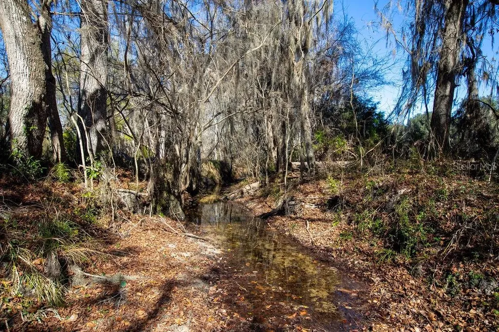 Tbd 99th Avenue Lake Butler FL 32054