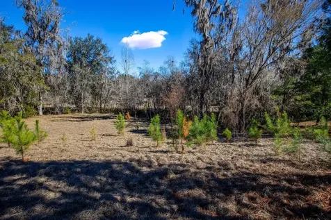 Tbd 99th Avenue Lake Butler FL 32054