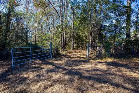 Tbd 99th Avenue Lake Butler FL 32054