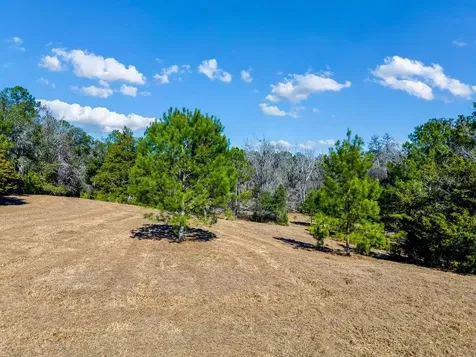 Tbd 99th Avenue Lake Butler FL 32054