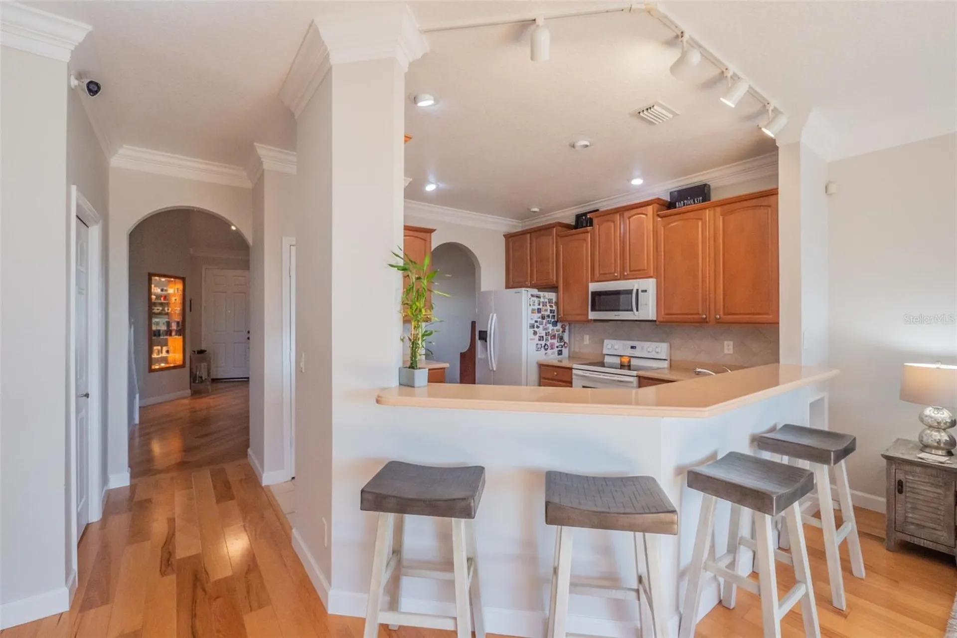 34442 Tuscany Avenue Sorrento FL 32776