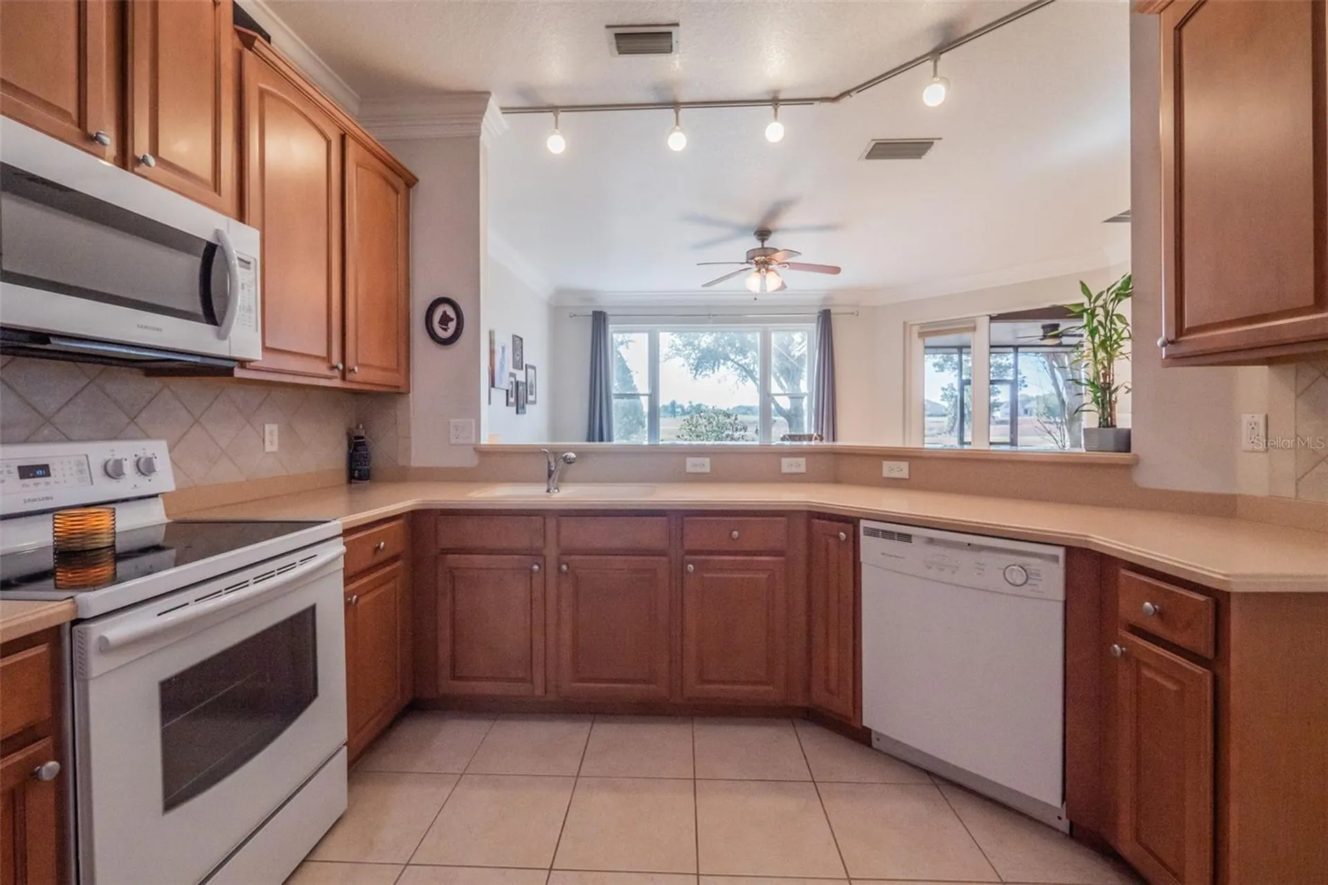 34442 Tuscany Avenue Sorrento FL 32776