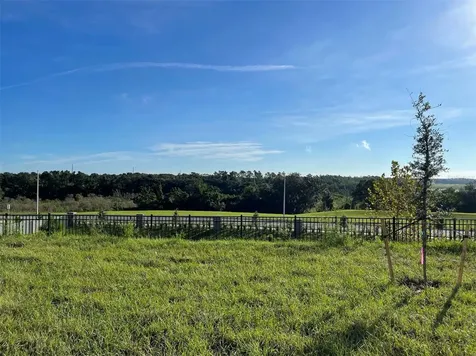 2896 Muller Oak Loop Ocoee FL 34761