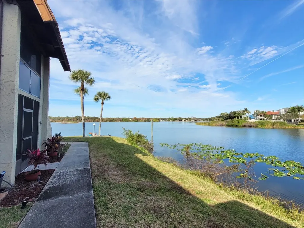 1005 S Bayshore Boulevard Safety Harbor FL 34695