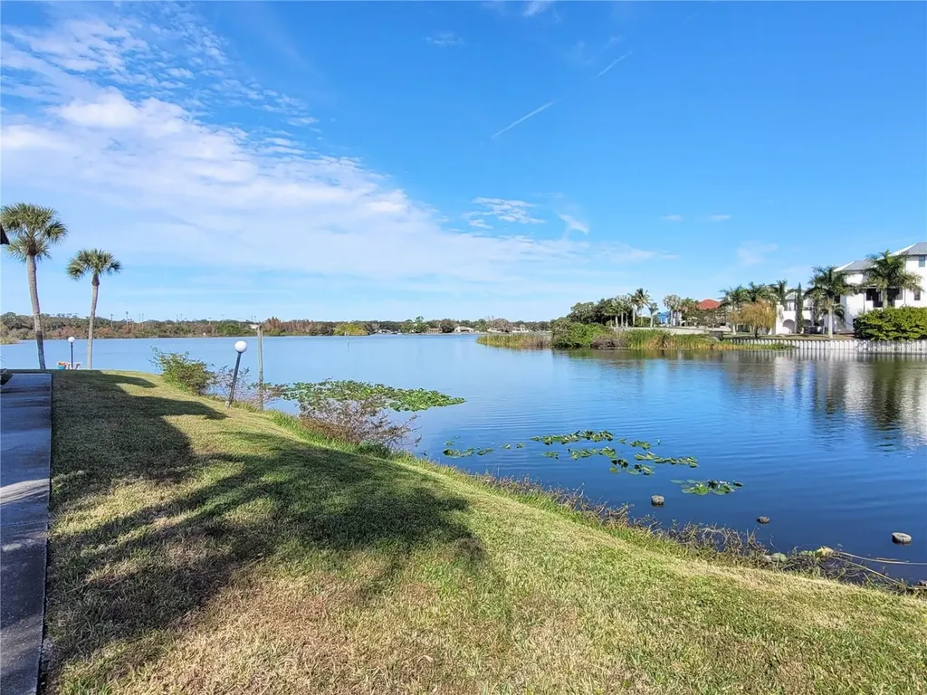 1005 S Bayshore Boulevard Safety Harbor FL 34695