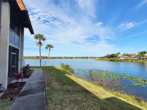 1005 S Bayshore Boulevard Safety Harbor FL 34695