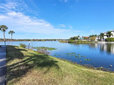 1005 S Bayshore Boulevard Safety Harbor FL 34695
