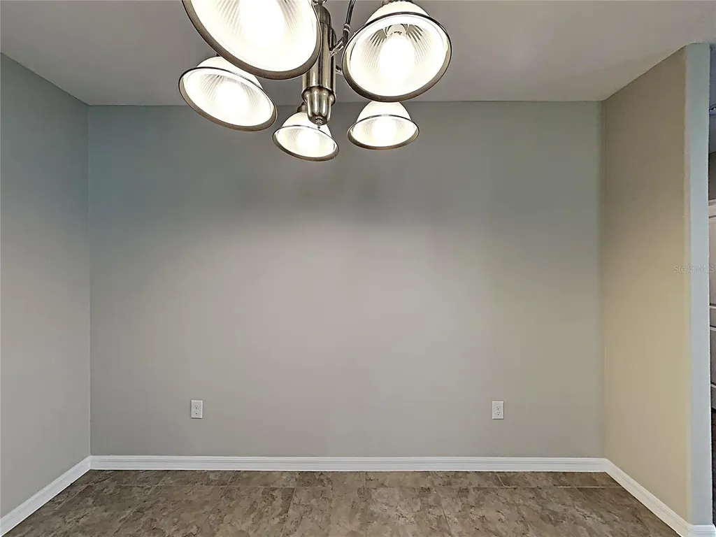 5125 White Chicory Drive Ruskin FL 33570