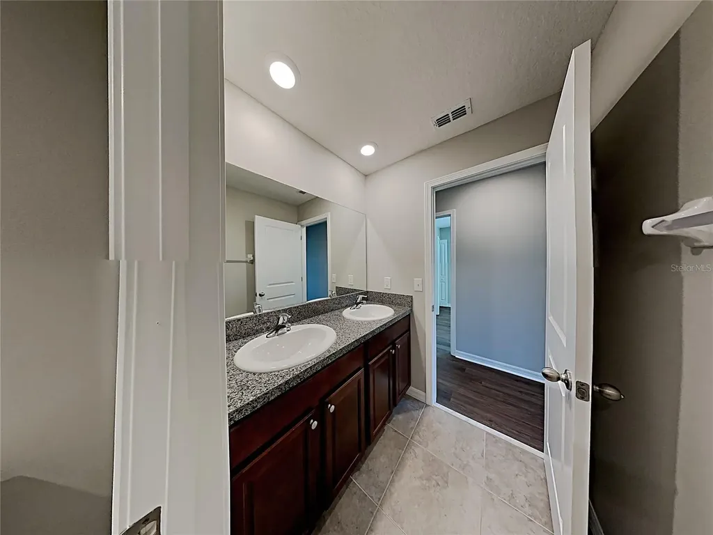 5125 White Chicory Drive Ruskin FL 33570