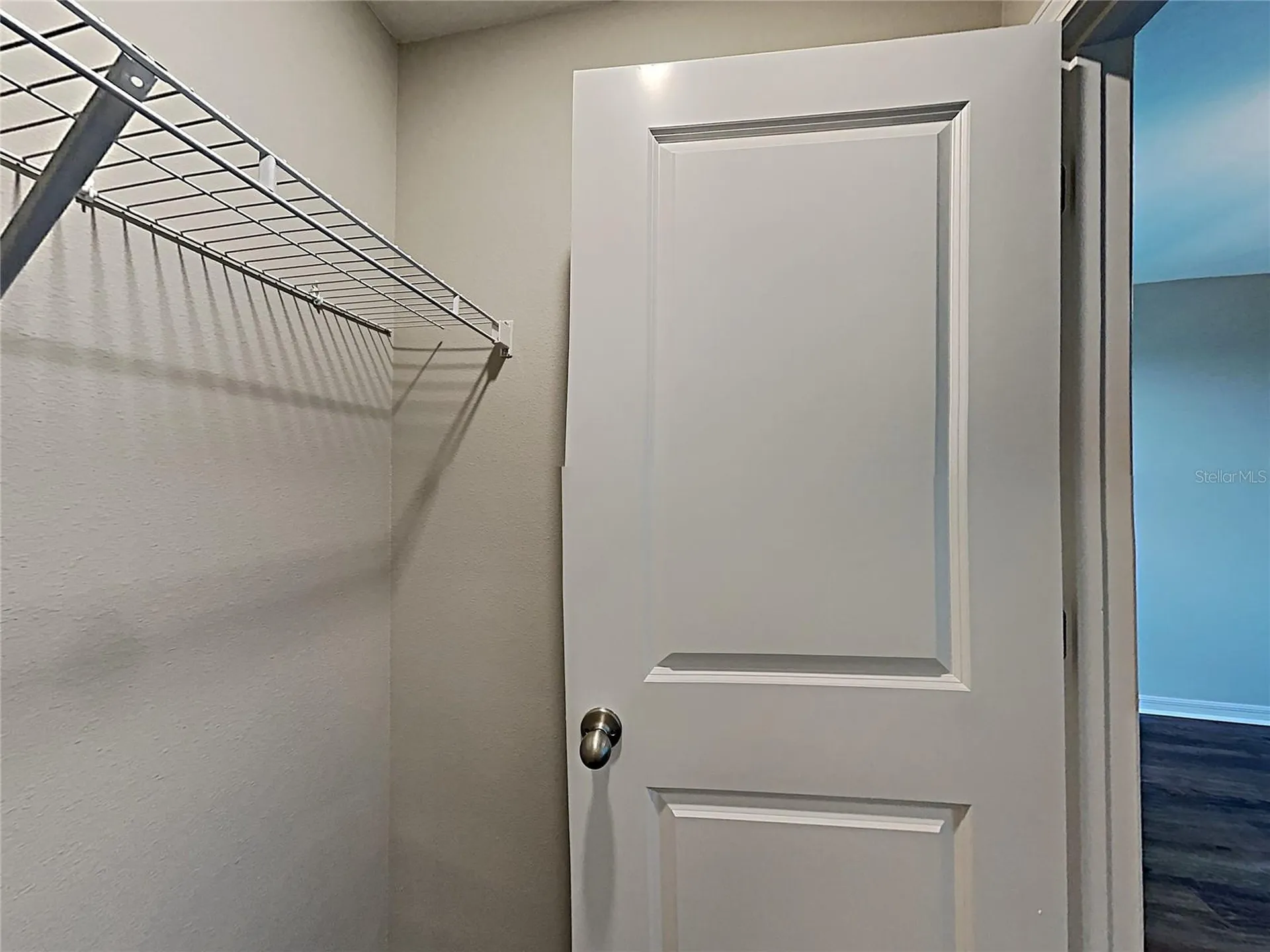 5125 White Chicory Drive Ruskin FL 33570