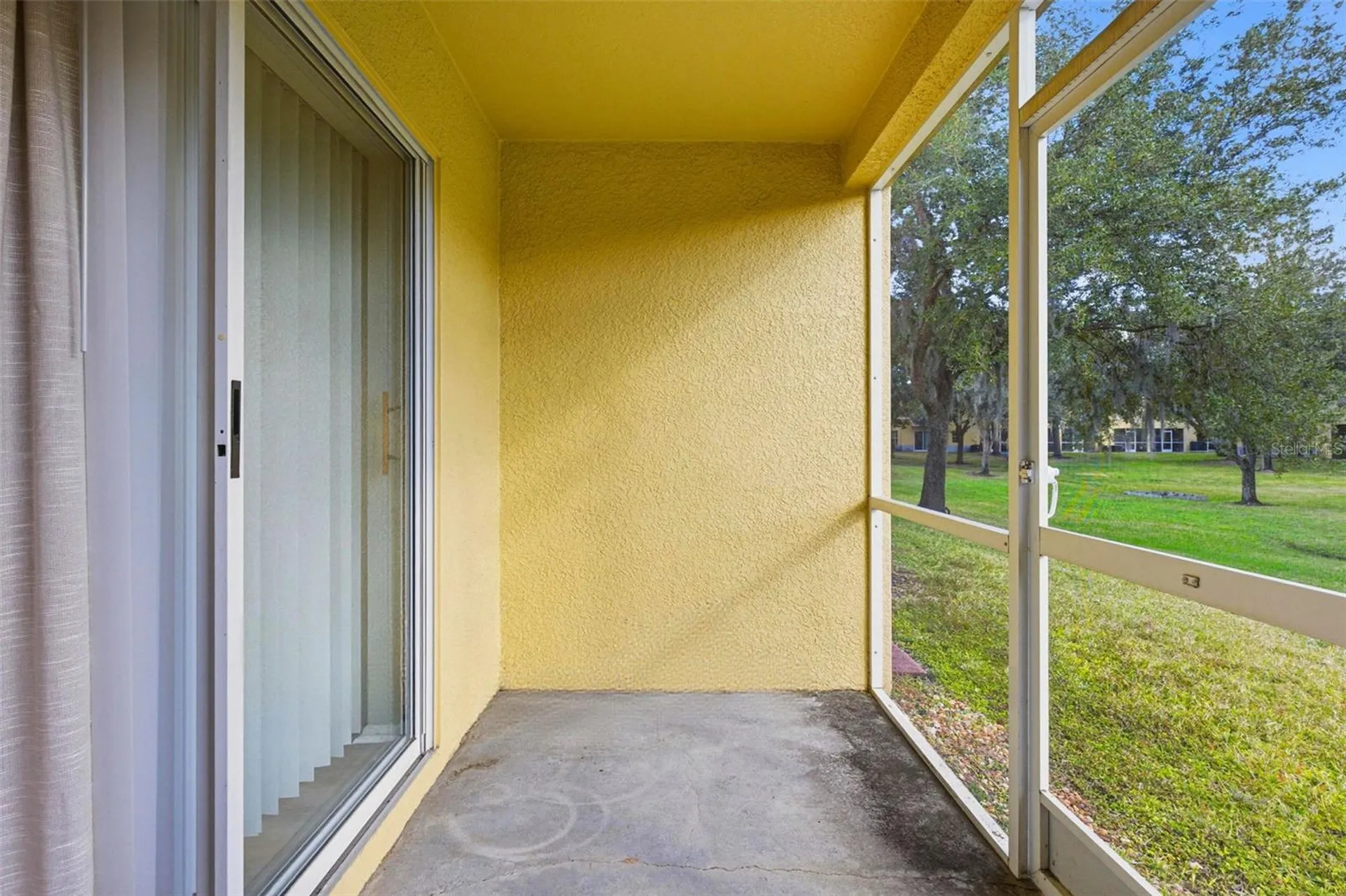 37548 Daliha Terrace Zephyrhills FL 33542