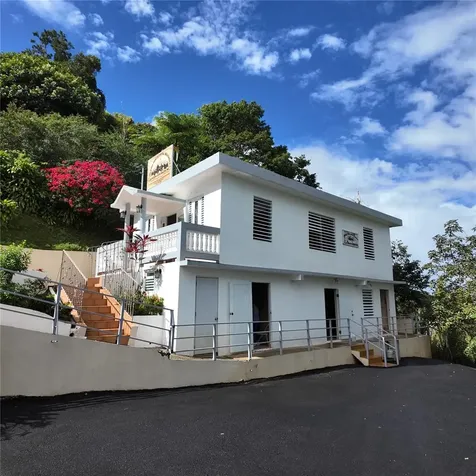 Carr 157 Km 23.2 Int Bo. Barros Orocovis PR 00720