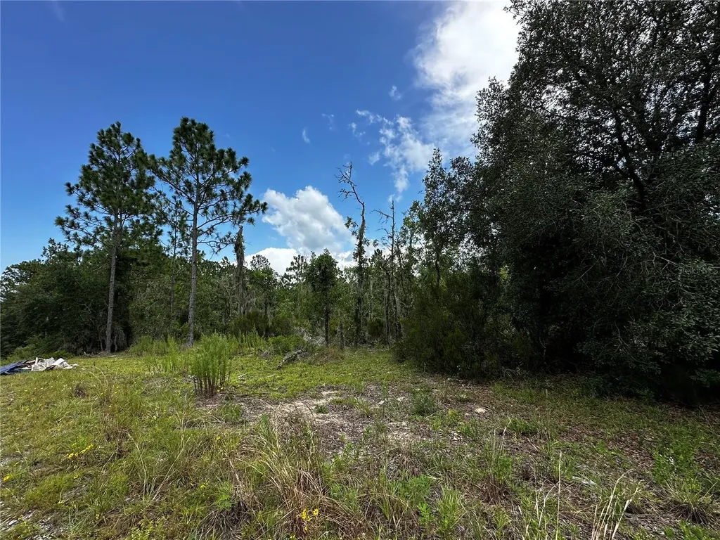 Tbd NE 16th Lane Williston FL 32696