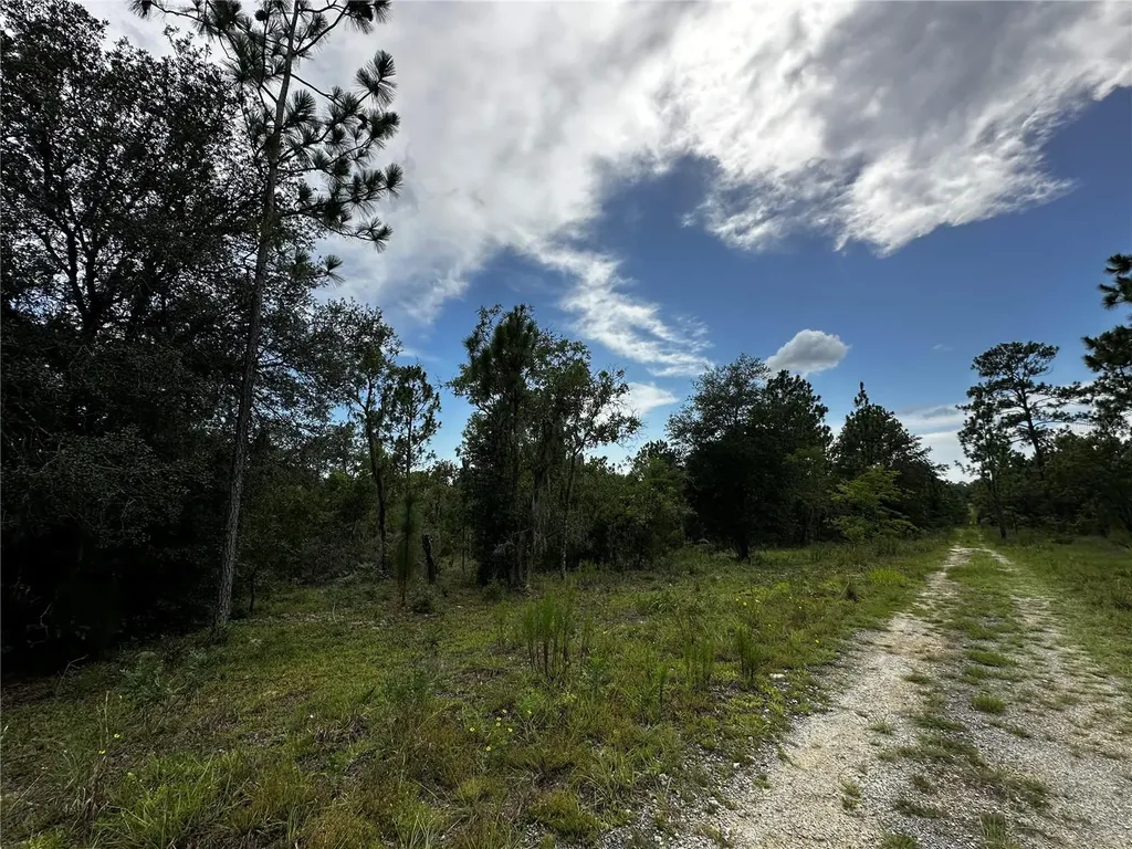 Tbd NE 16th Lane Williston FL 32696