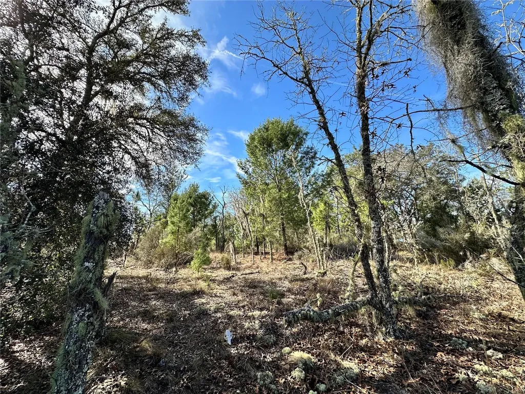 Tbd NE 16th Lane Williston FL 32696