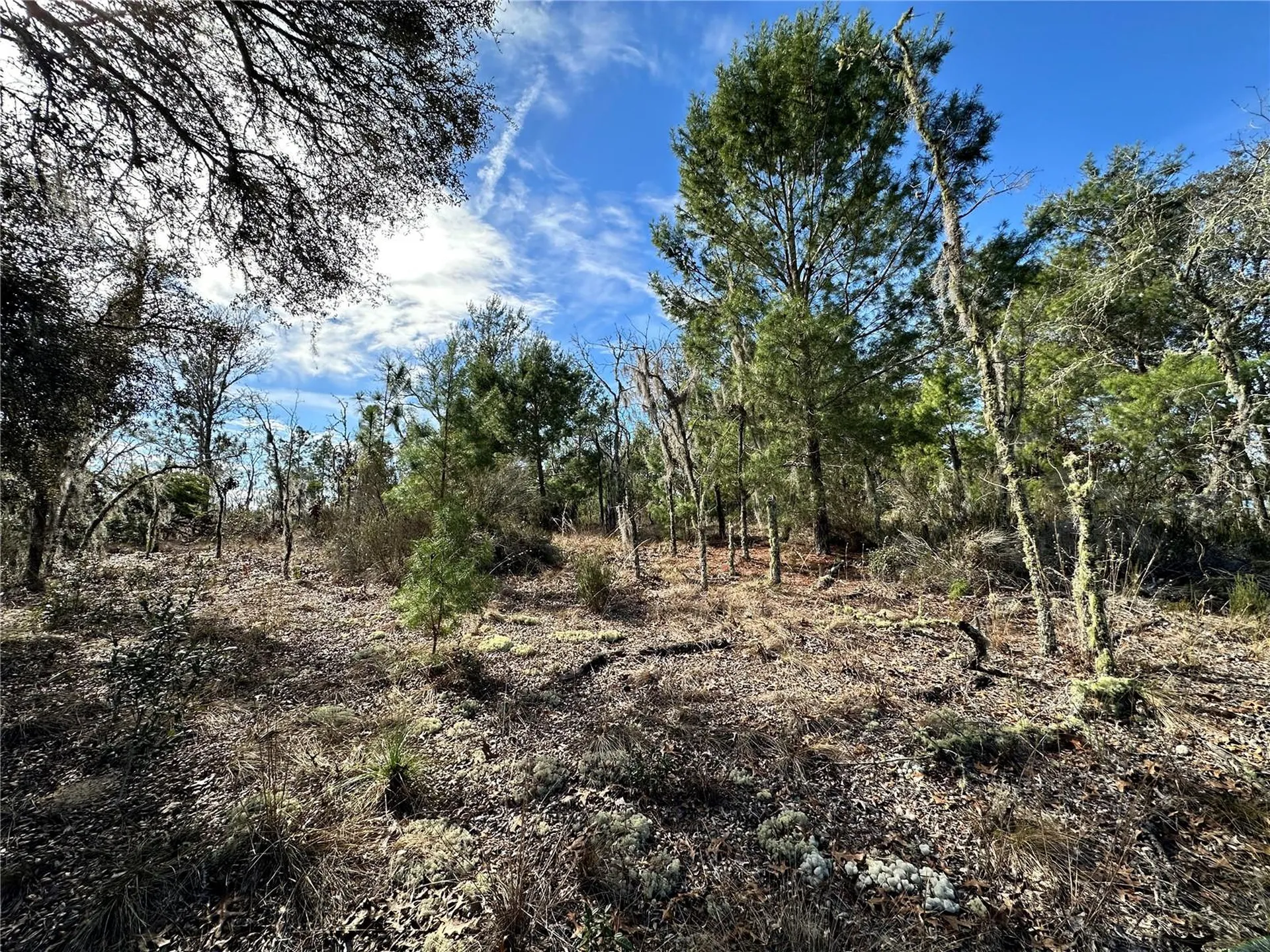 Tbd NE 16th Lane Williston FL 32696