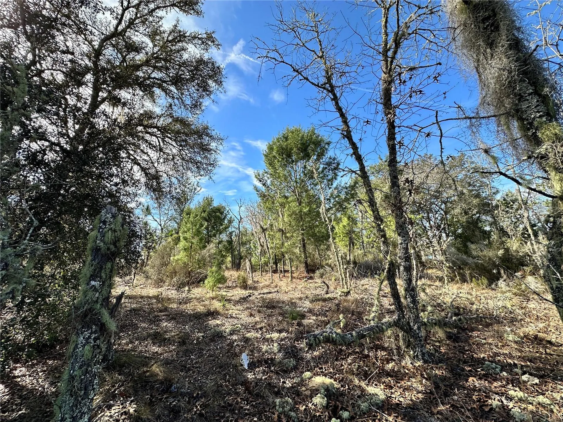 Tbd NE 16th Lane Williston FL 32696