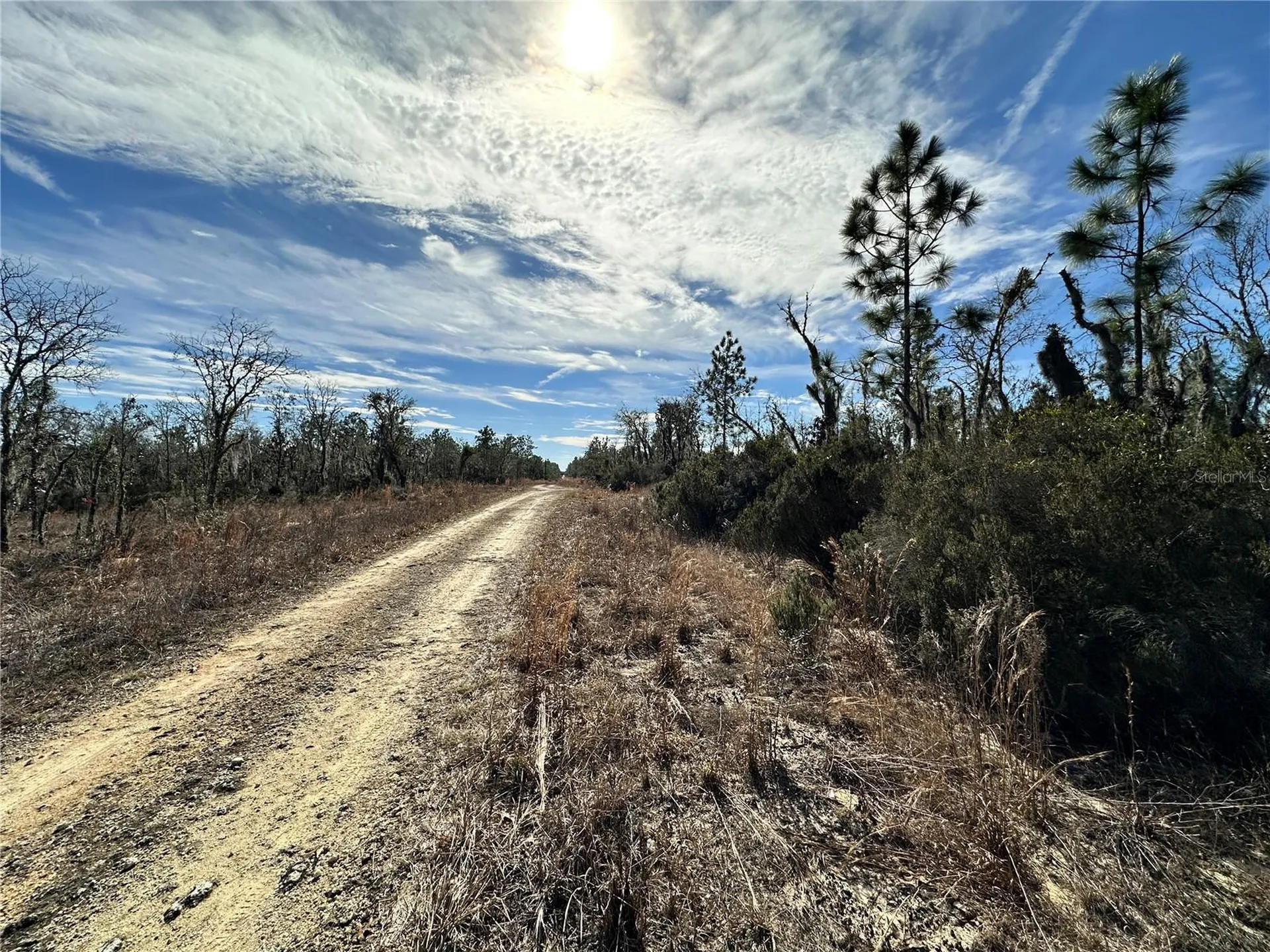Tbd NE 16th Lane Williston FL 32696