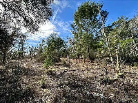 Tbd NE 16th Lane Williston FL 32696