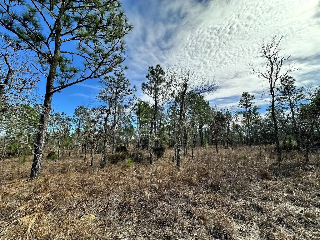 Tbd NE 150th Court Williston FL 32696