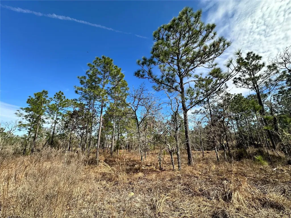 Tbd NE 150th Court Williston FL 32696