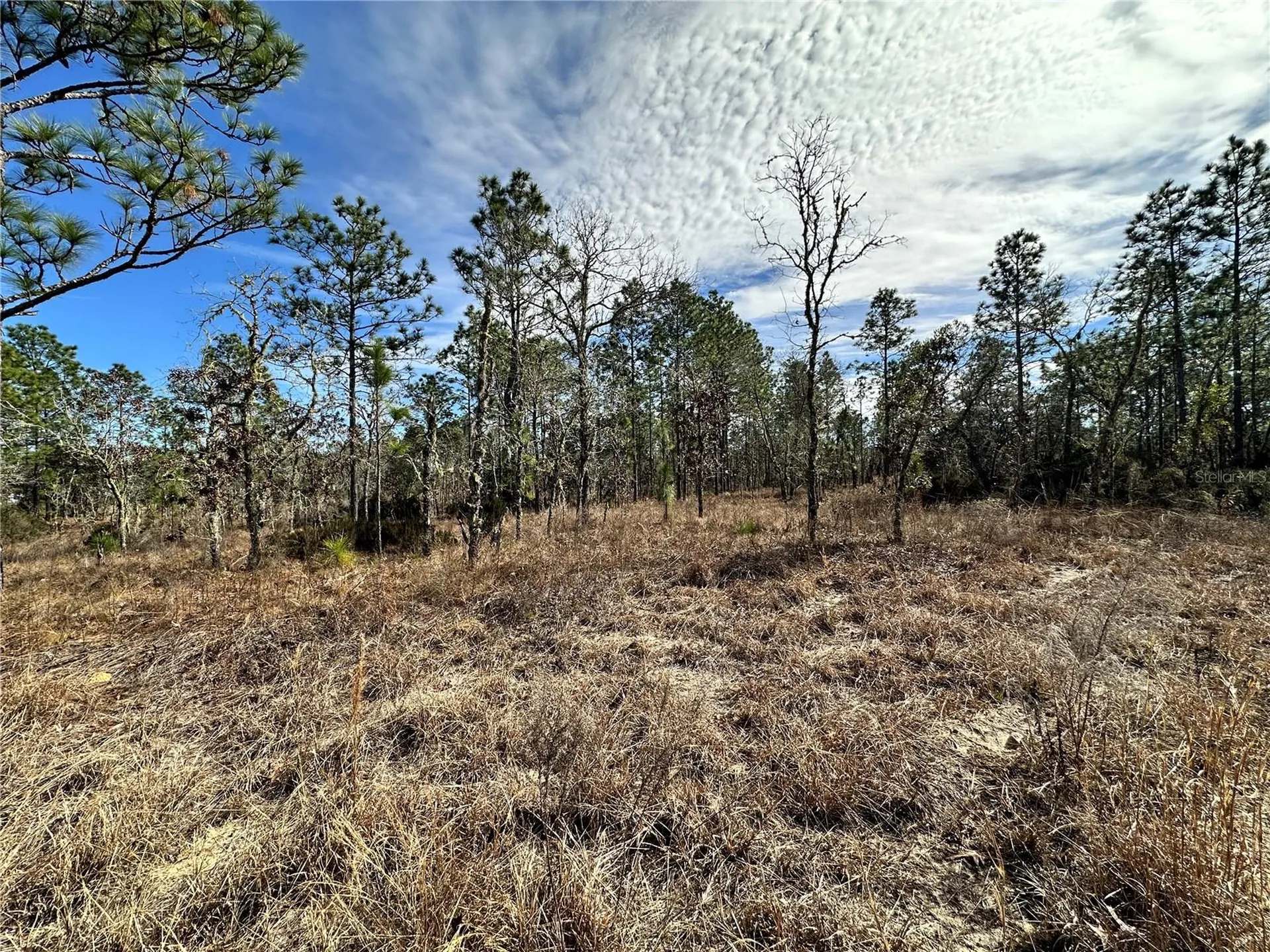 Tbd NE 150th Court Williston FL 32696