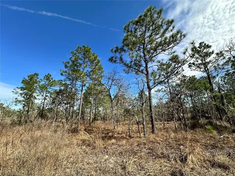 Tbd NE 150th Court Williston FL 32696