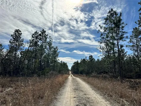 Tbd NE 150th Court Williston FL 32696