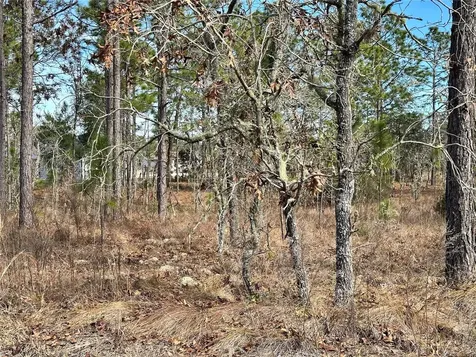 Tbd NE 150th Court Williston FL 32696