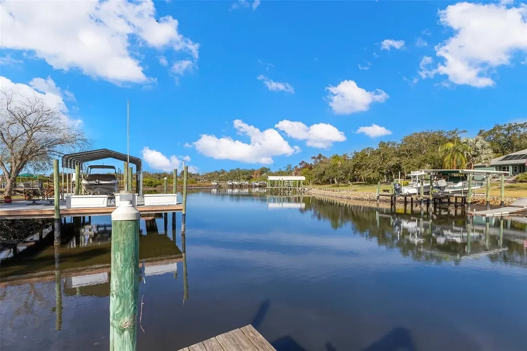 9208 River Cove Drive Riverview FL 33578