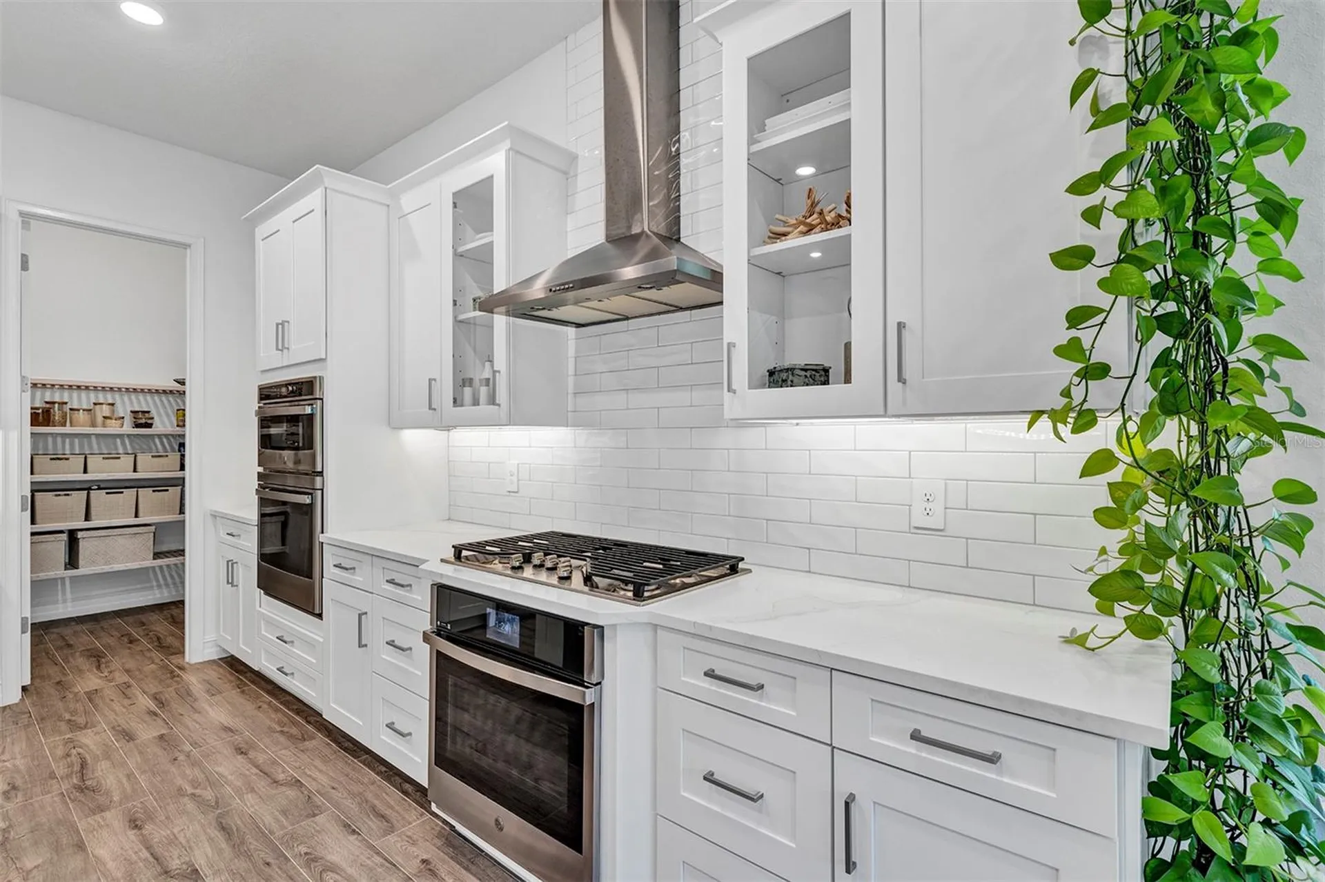 1115 Seagrape Drive Ruskin FL 33570