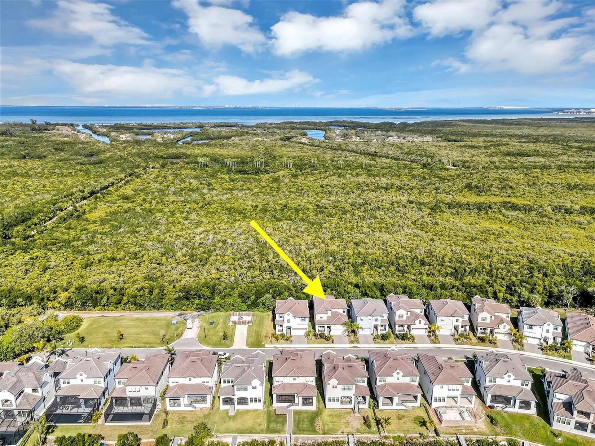 1115 Seagrape Drive Ruskin FL 33570