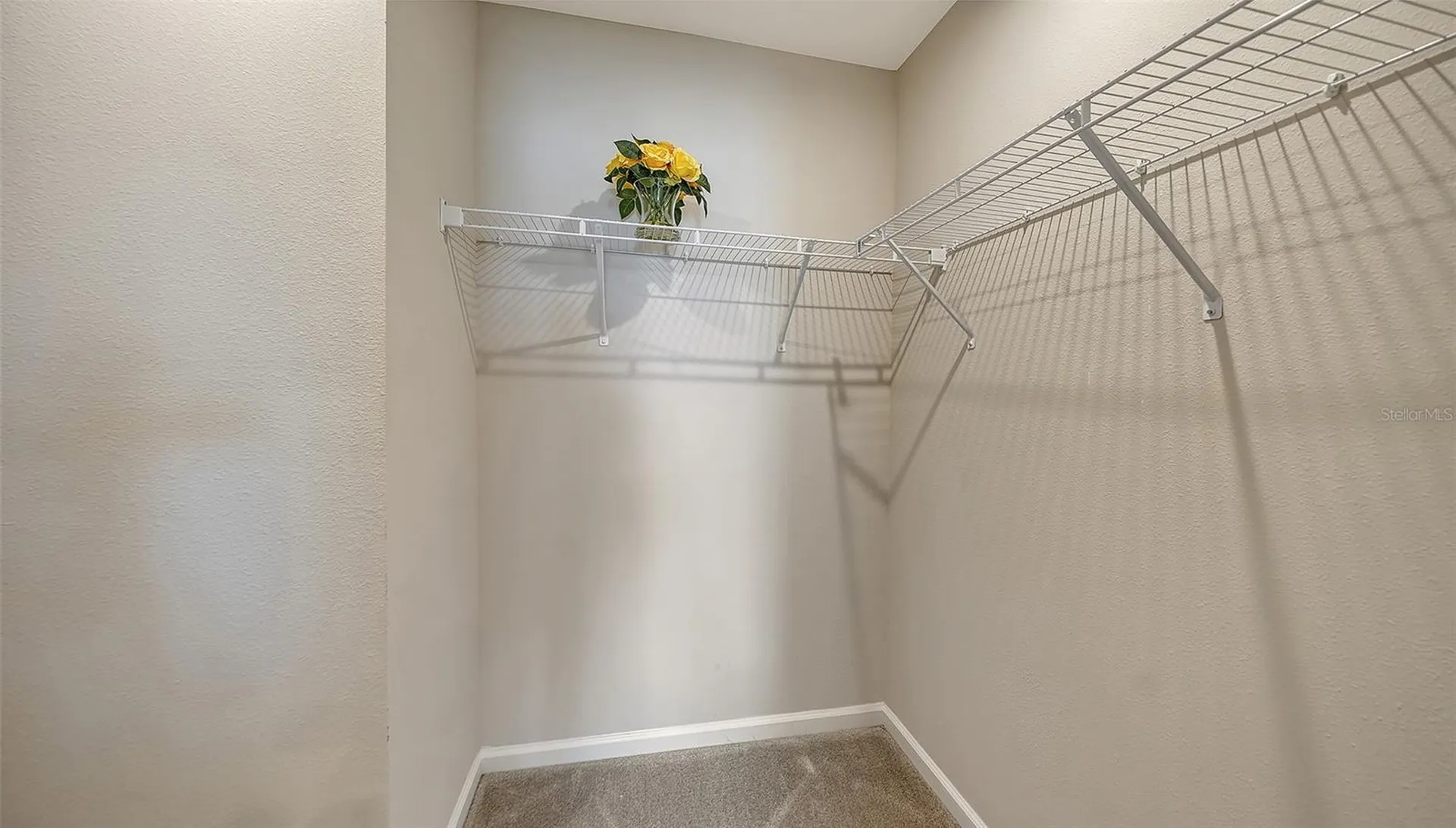14244 Crimson Avenue Bradenton FL 34211