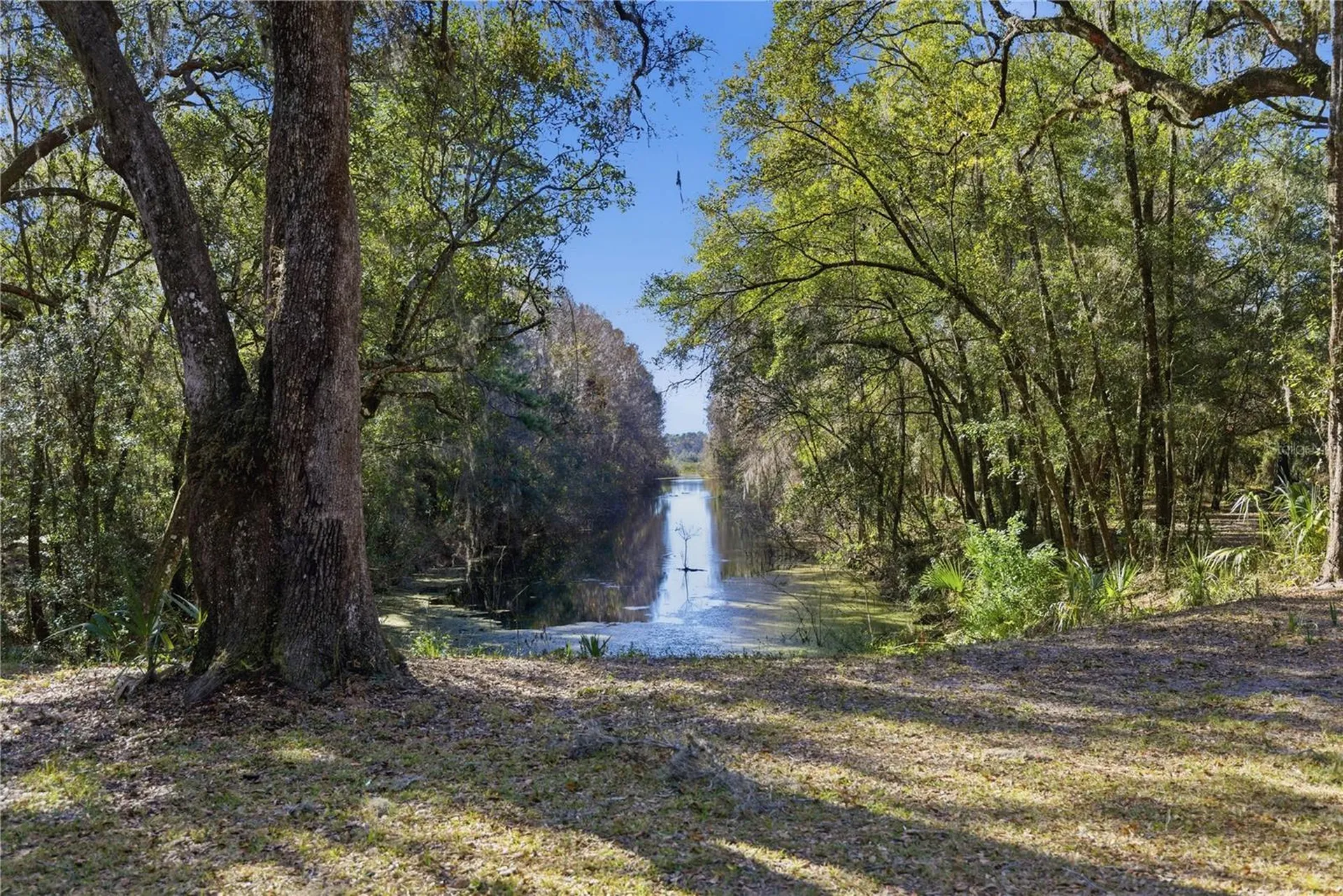 23065 SW 119th Place Dunnellon FL 34431